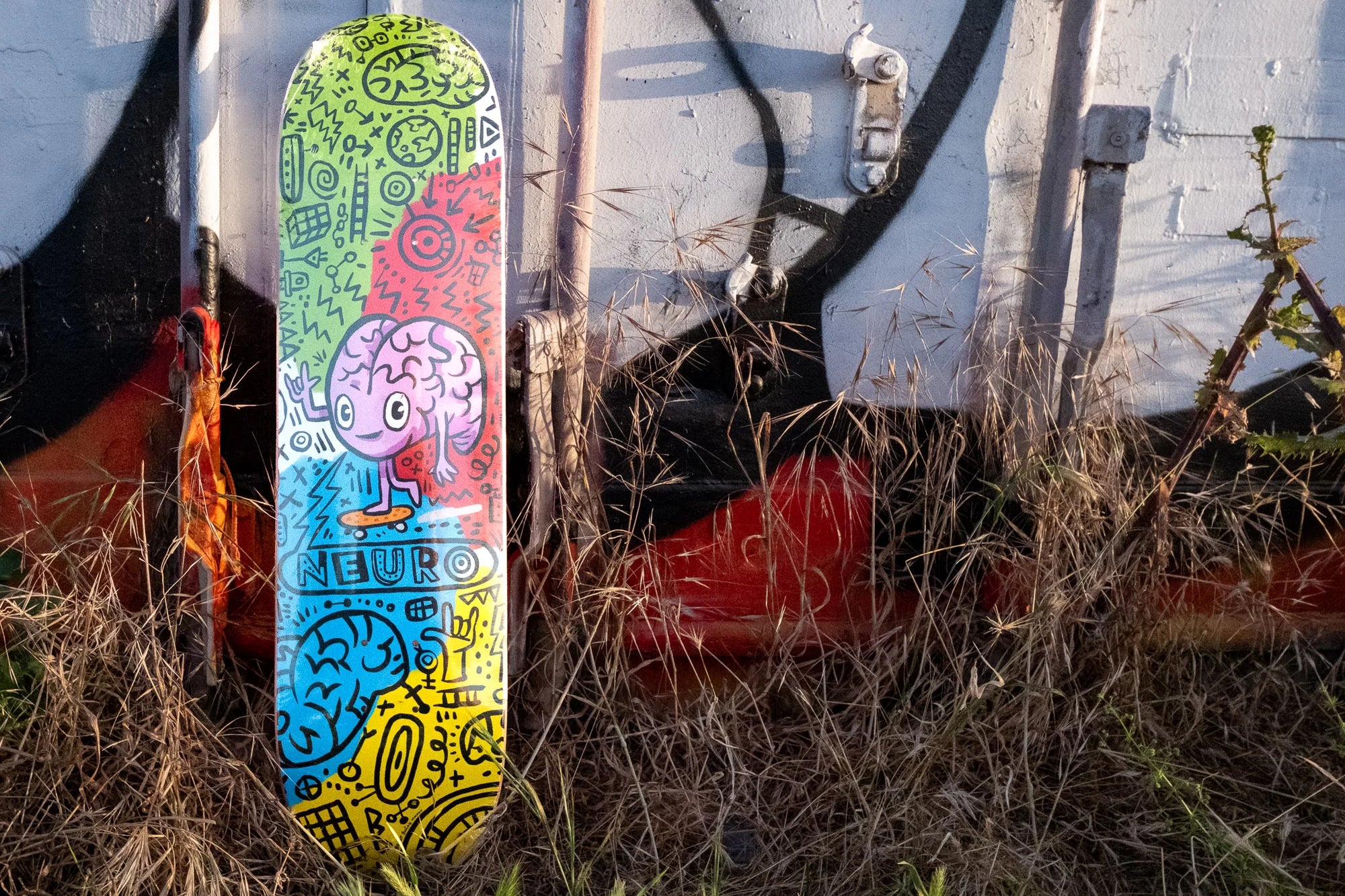 The Brain Love skateboard sitting against a painted storage locker in a field.
