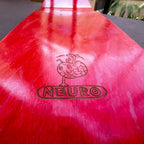 Brain Love Skateboard (Complete)